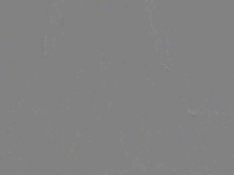 ba7434ed59cd8e2bbb0e7bfb77d123ab.gif